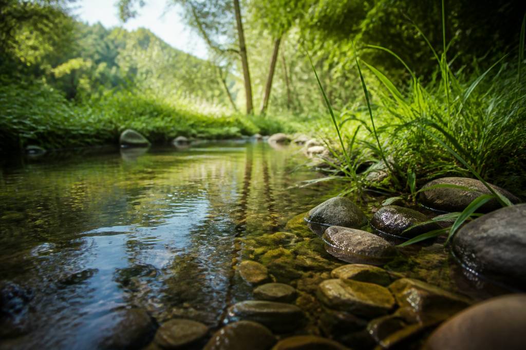 Ambient water meaning: what it is and why it matters for water quality