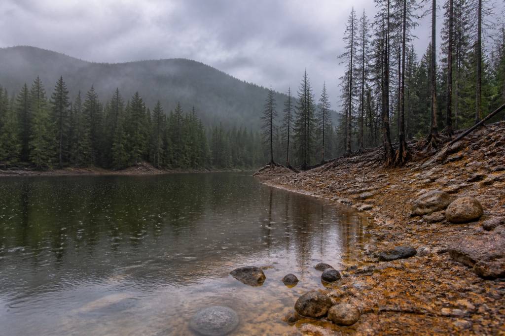 Acid rain effects on environment: impacts on water, soil and ecosystems