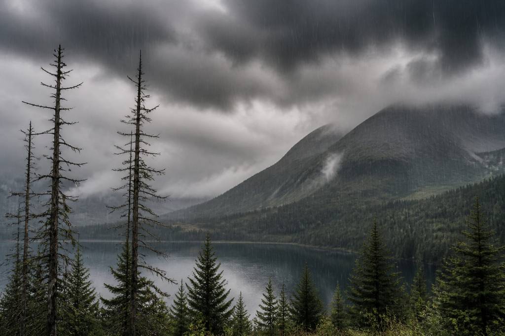 Acid rain effects on humans: health risks and environmental impacts