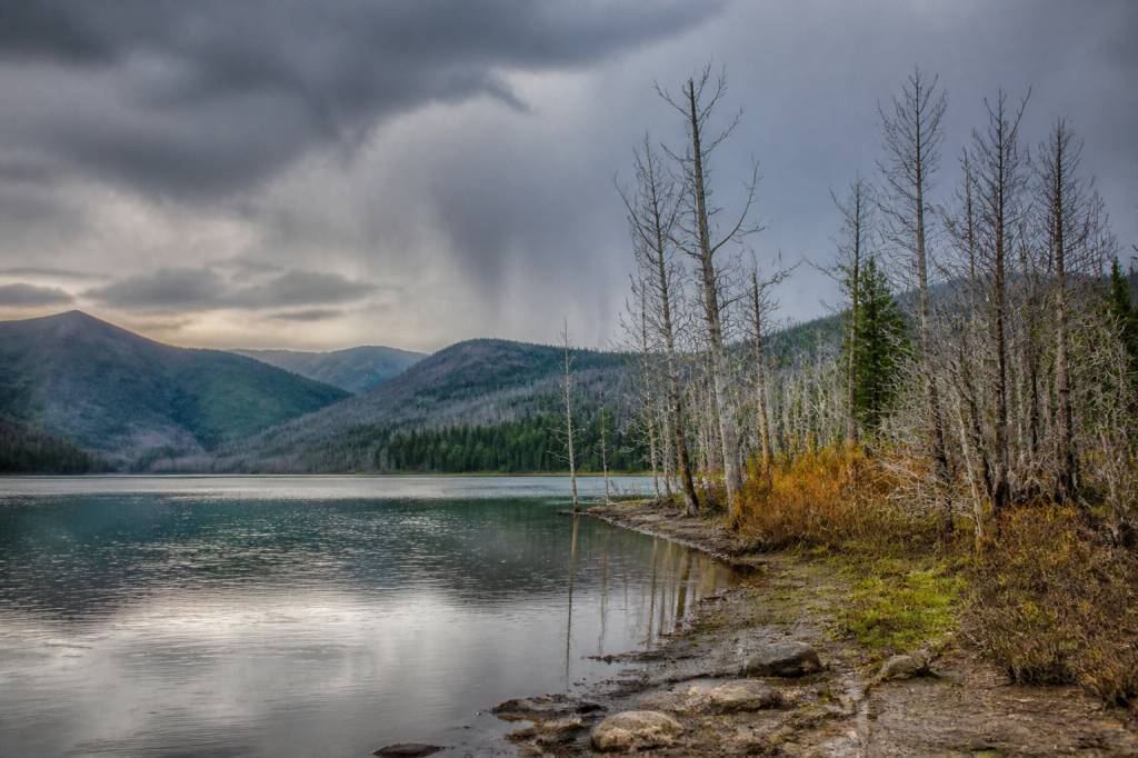 Acid precipitation effects on environment and water quality