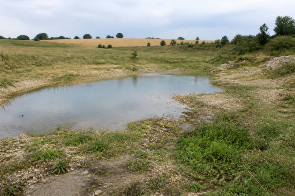 Aquifer recharge: how pfas contamination affects groundwater quality