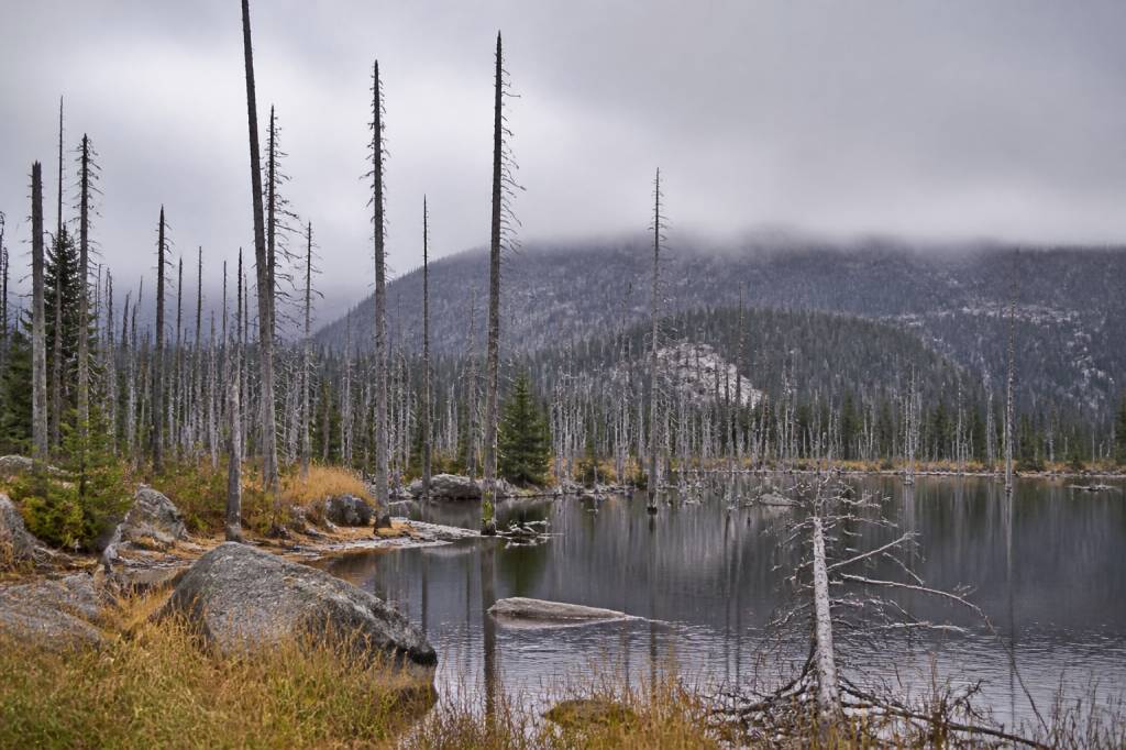 Acid deposition causes: how air pollution affects water quality and ecosystems