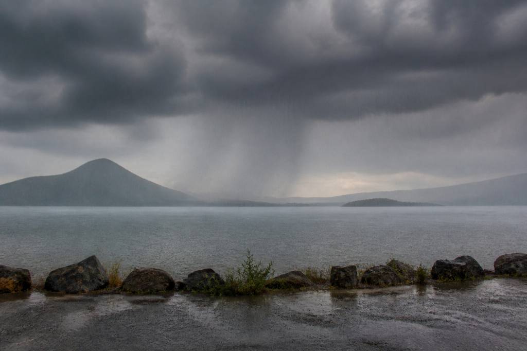 Acid rain is caused by: understanding its origins and environmental impact