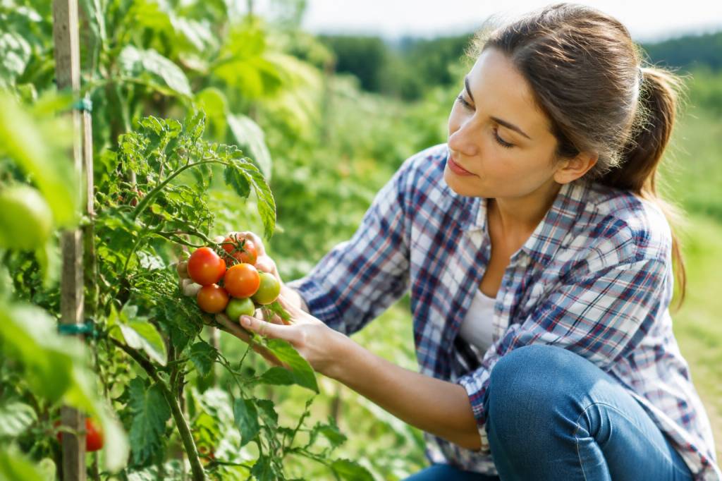 Can organic food have pesticides? What organic labels really mean for pesticide residues and water quality