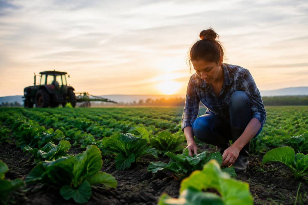 Does organic mean no pesticides? Understanding organic farming and pesticide use